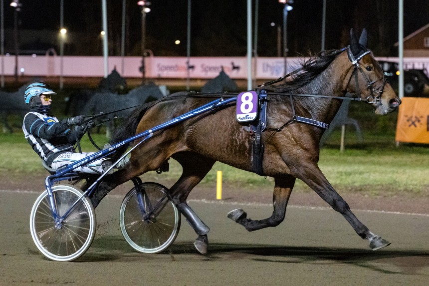 Champlain Wania