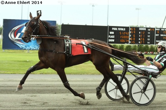 Lilu Hanover